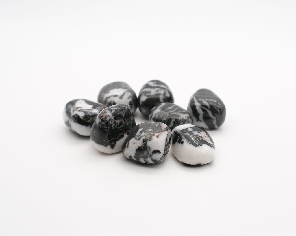 Zebra Jasper