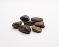 Bronzite