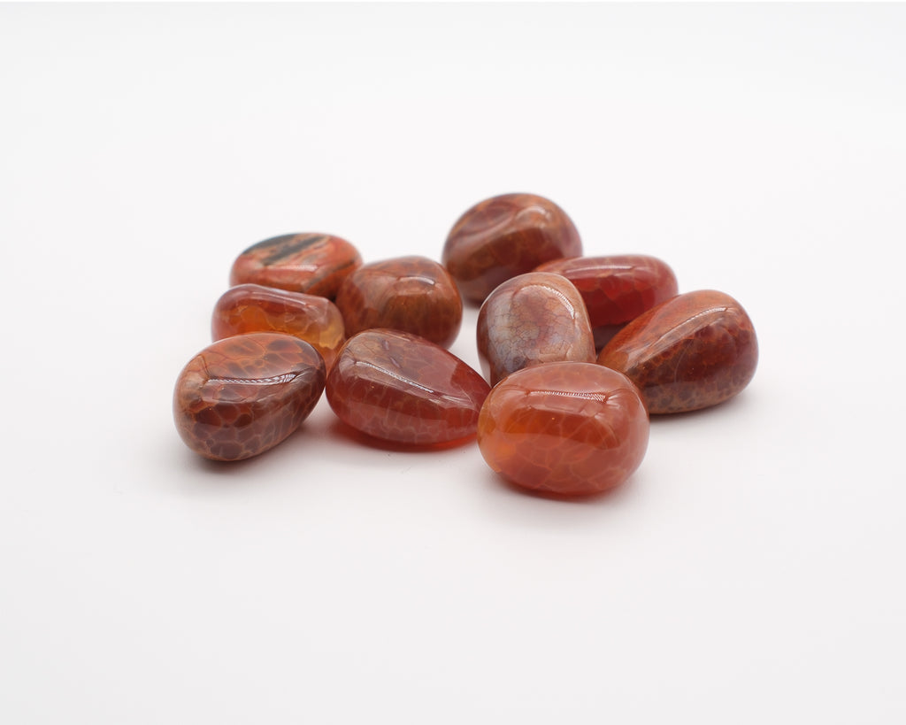 Agate de feu et peau de serpent