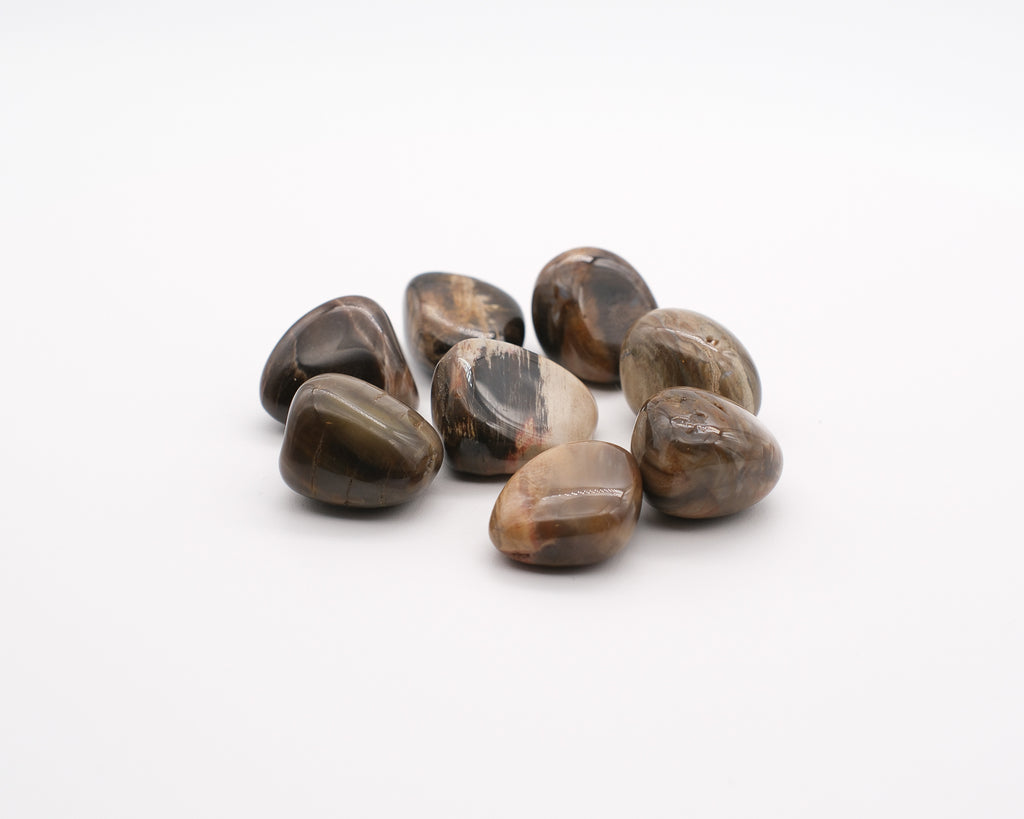 Bois fossilisé ou jaspe capuccino