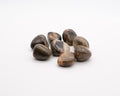 Bois fossilisé ou jaspe capuccino