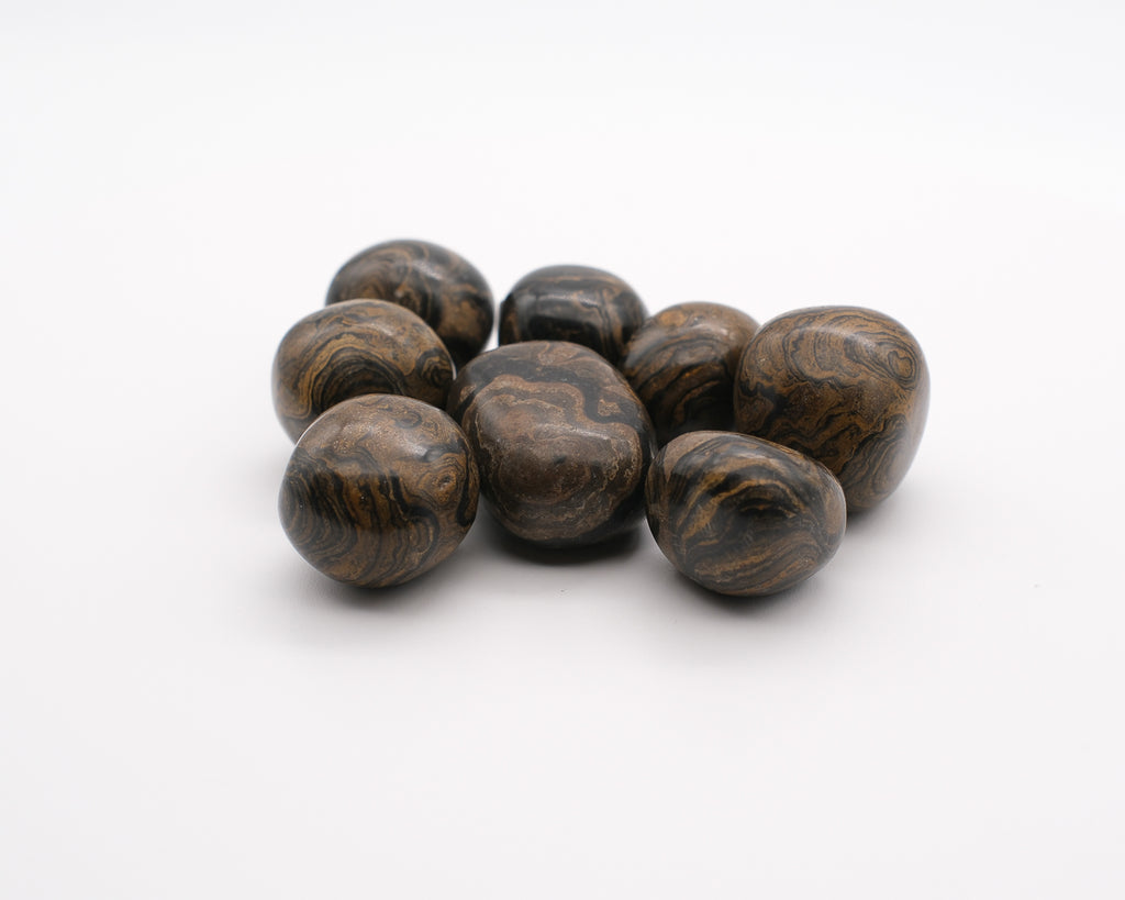 Stromatolite Pérou