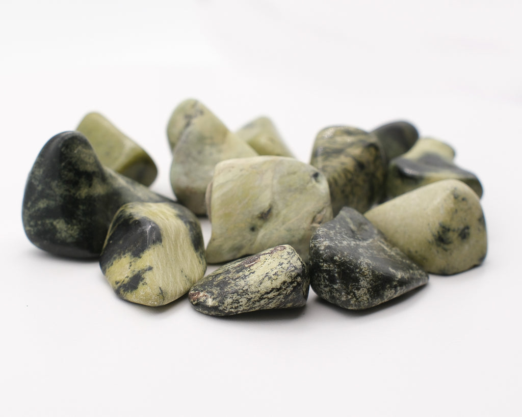 Serpentine chyta