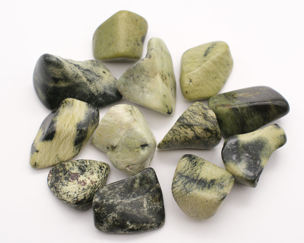Serpentine chyta