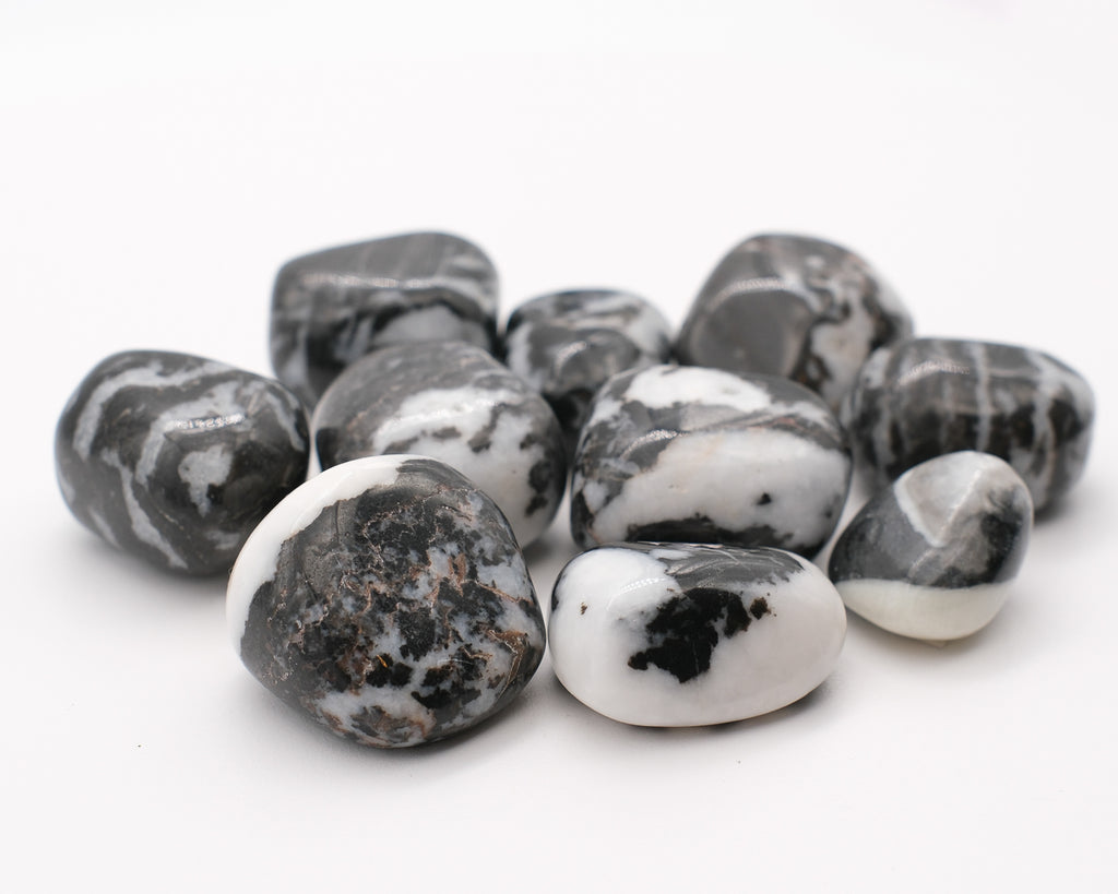 Zebra Jasper