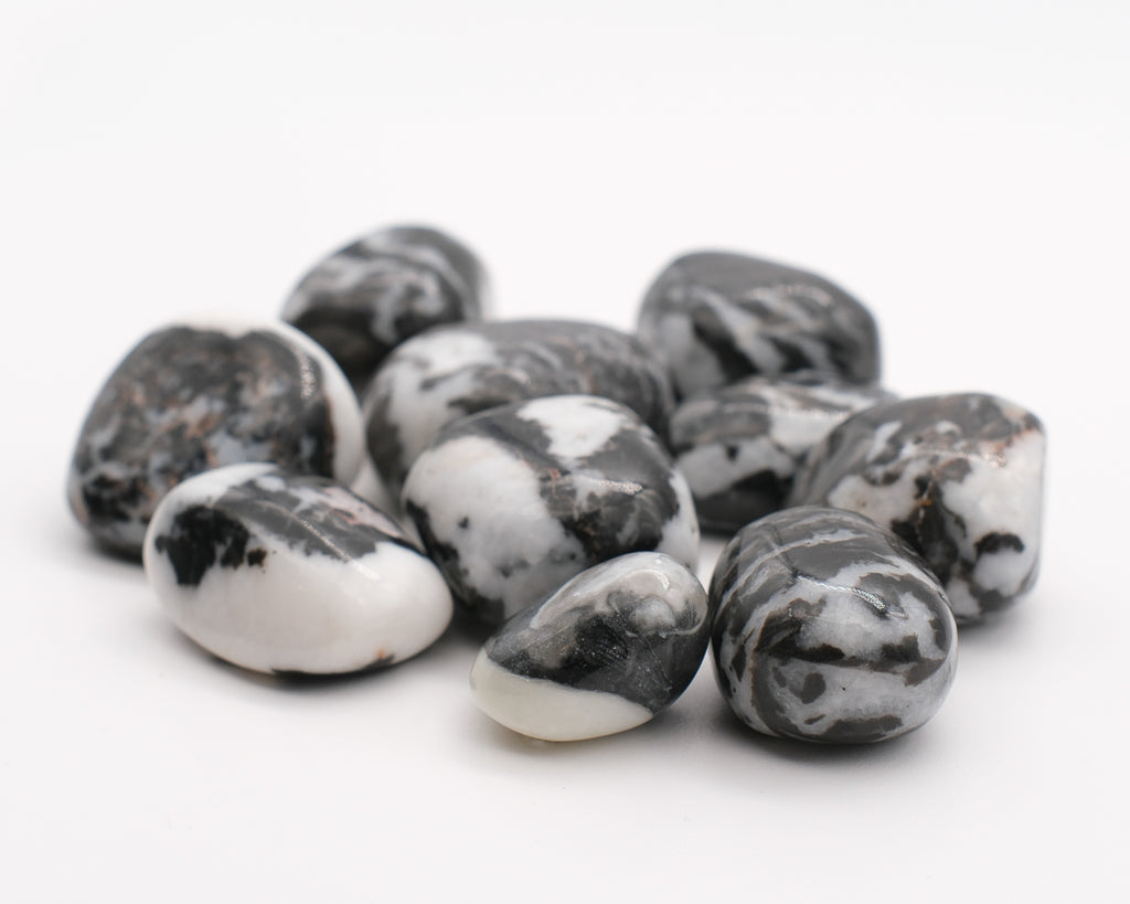 Zebra Jasper