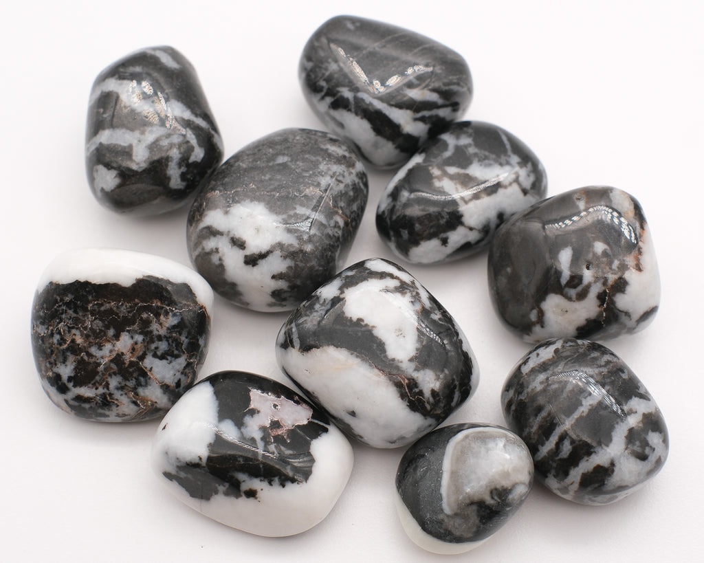 Zebra Jasper