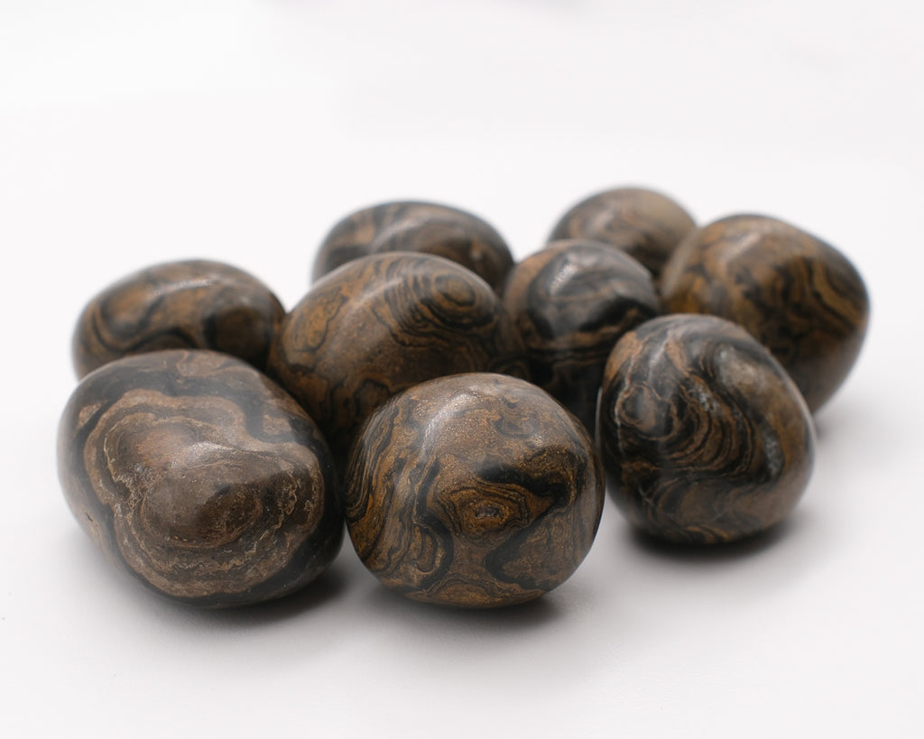 Stromatolite Pérou