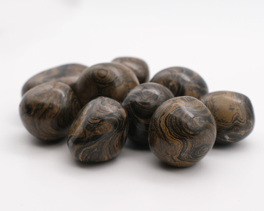 Stromatolite Pérou