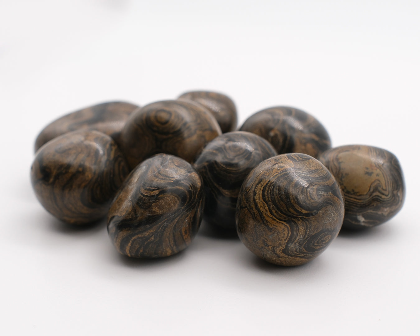 Stromatolite Pérou