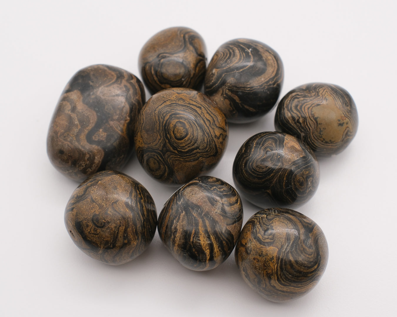 Stromatolite Pérou