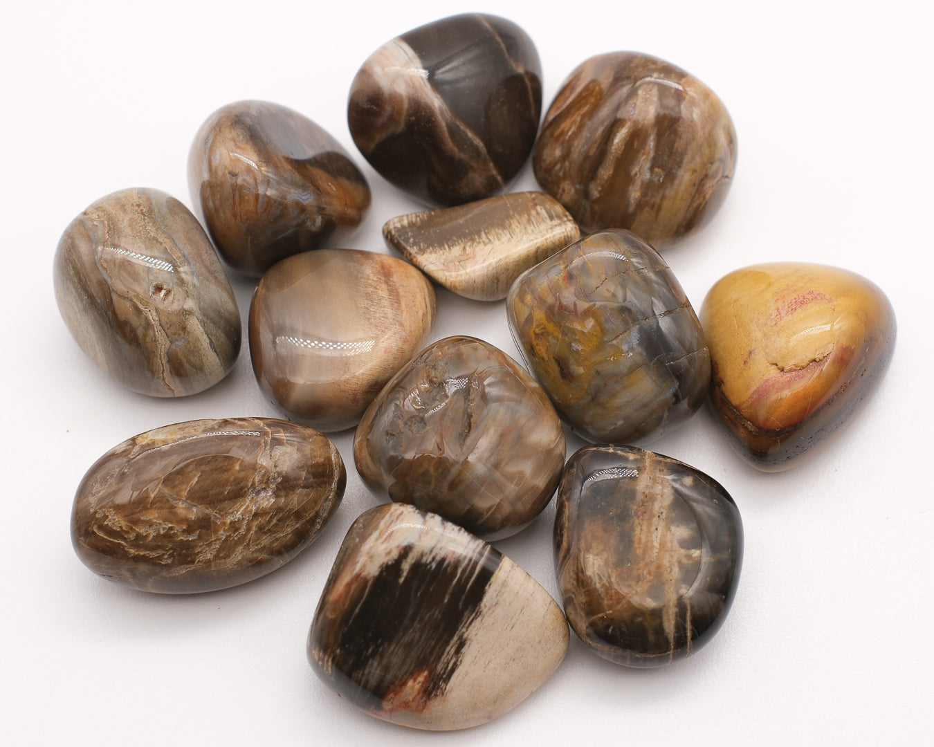 Bois fossilisé ou jaspe capuccino