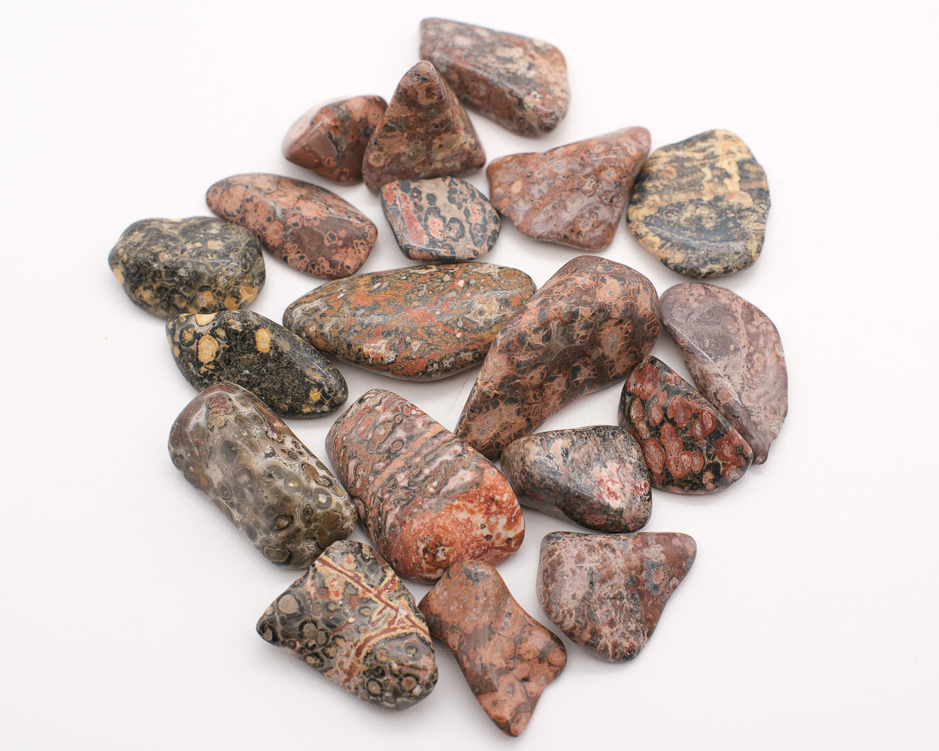 Jaspe pop ou léopard Brésil