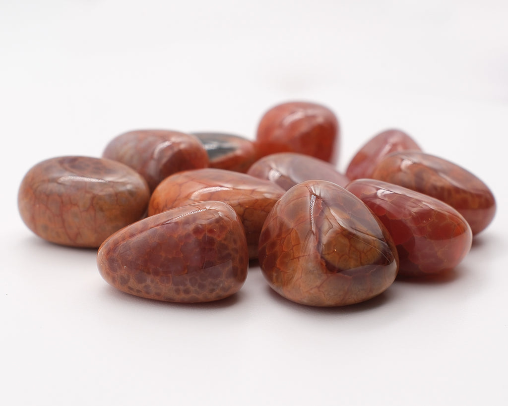 Agate de feu et peau de serpent