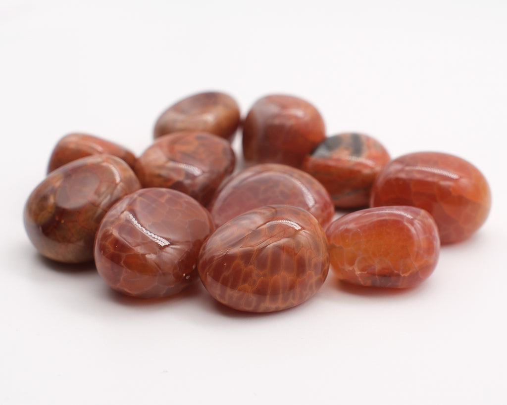 Agate de feu et peau de serpent