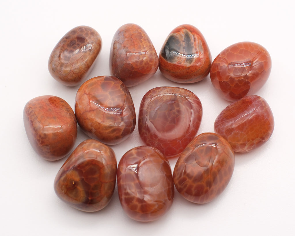 Agate de feu et peau de serpent