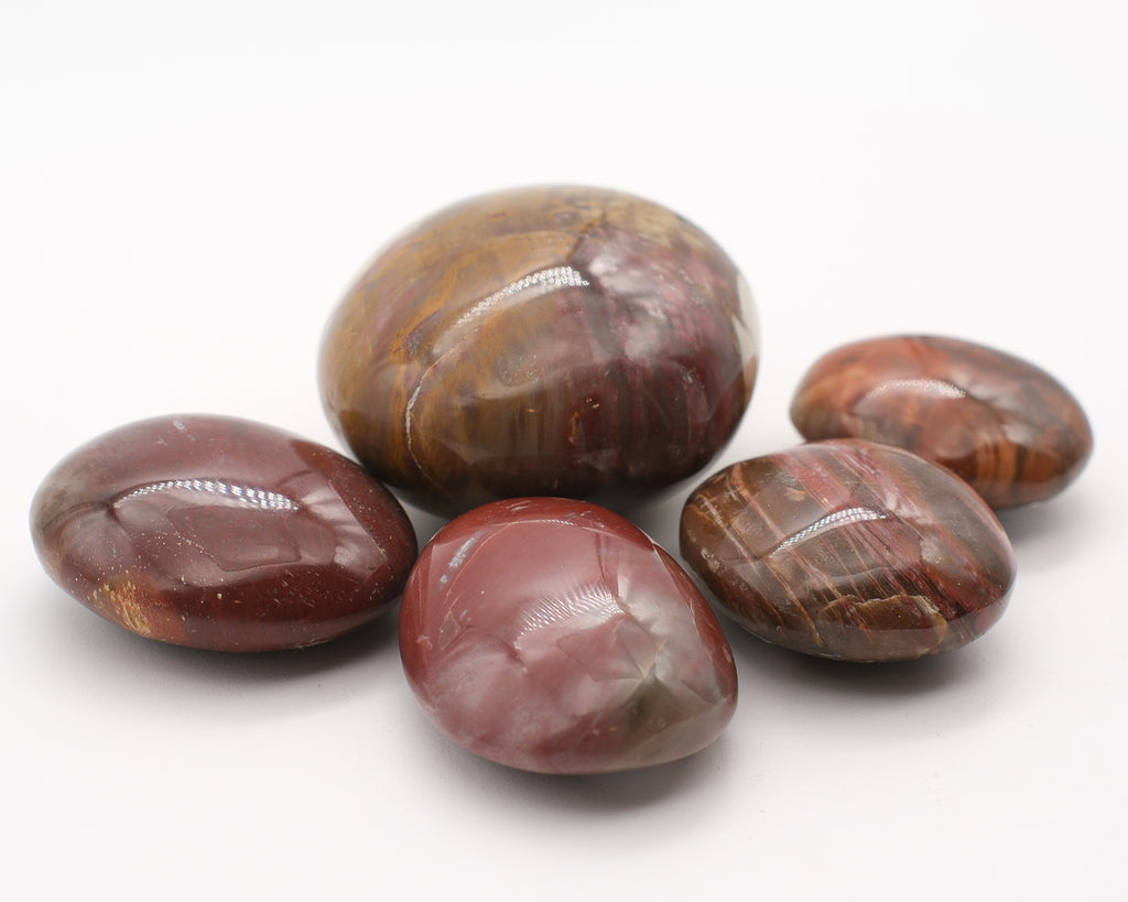 Fossilized wood