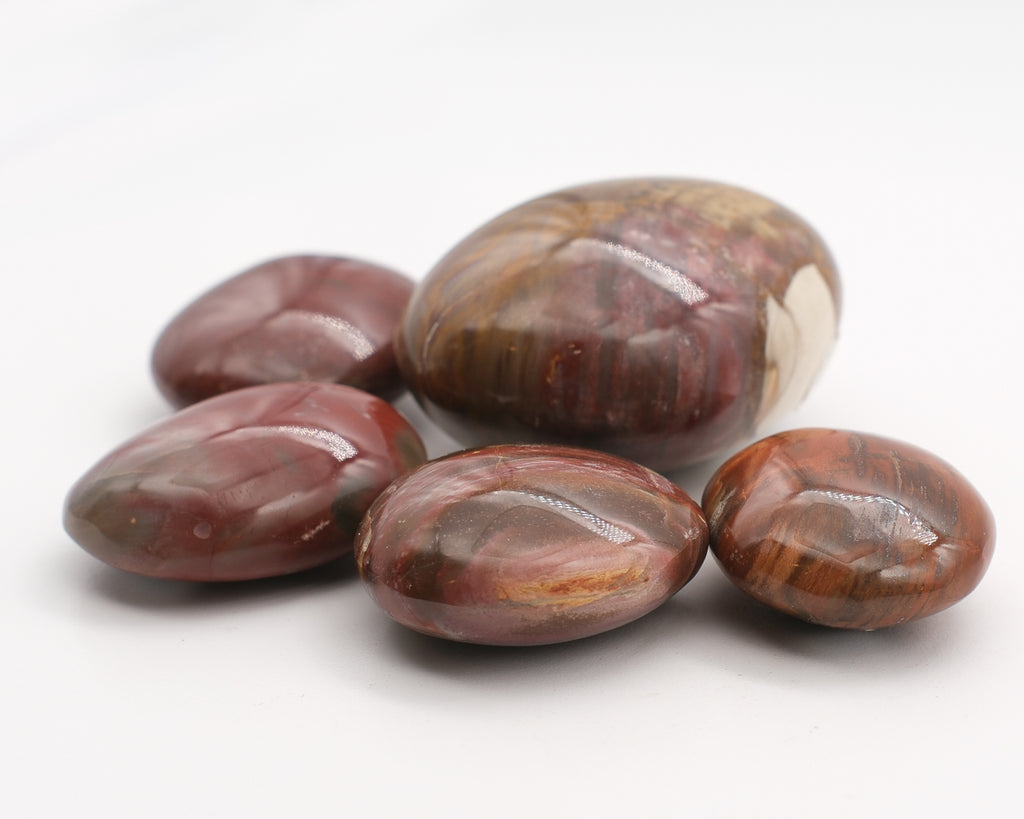 Fossilized wood