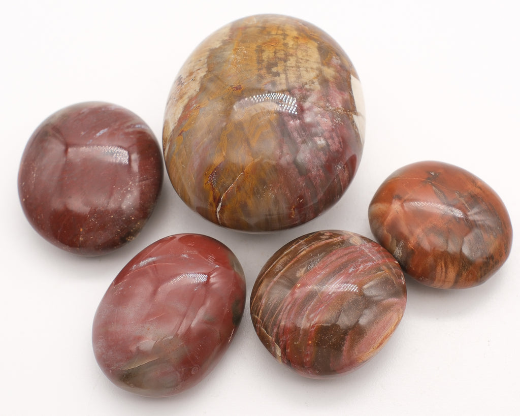 Fossilized wood