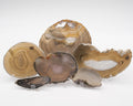 Agate zonée naturelle en tranche beige