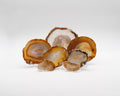 Agate zonée naturelle en tranche brune