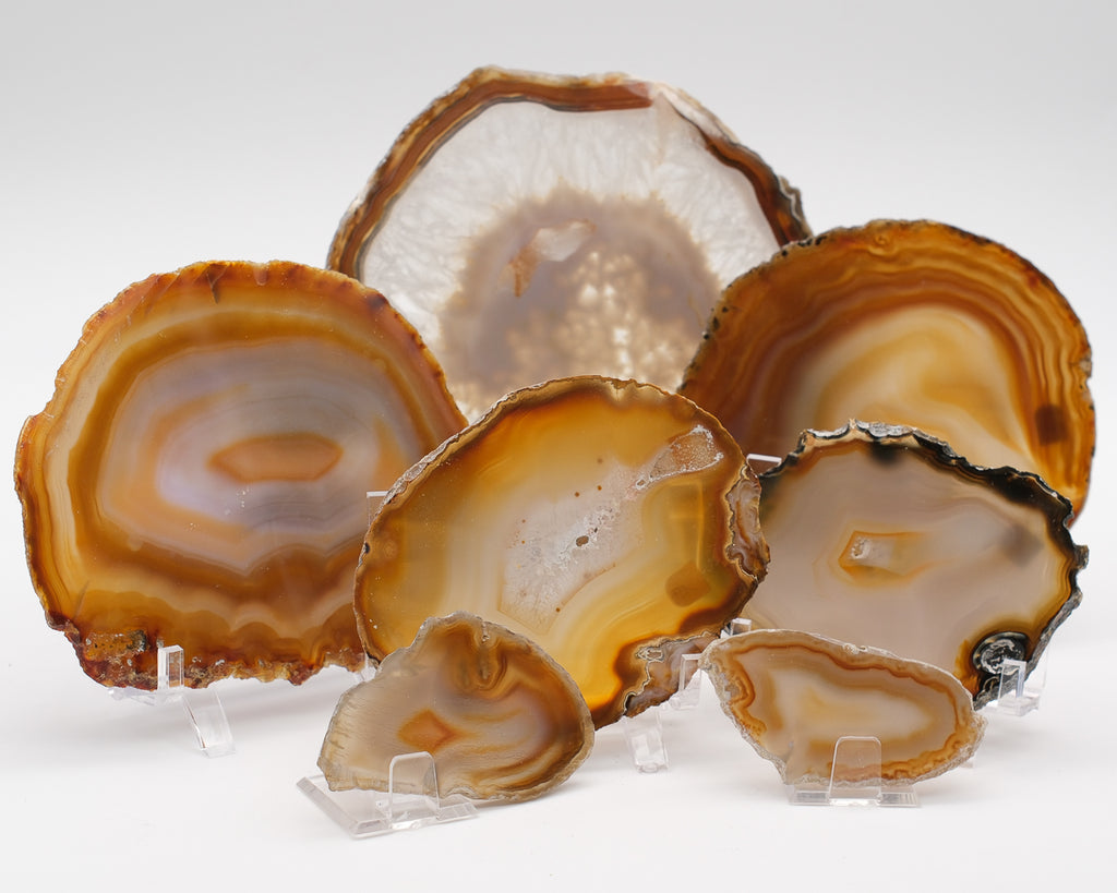 Agate zonée naturelle en tranche brune