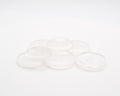 Quartz clair ou cristal de roche en galet plat