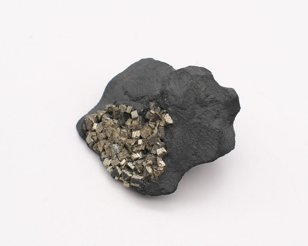 Pyrite sur shungite Bresil