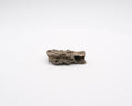 Fulgurite