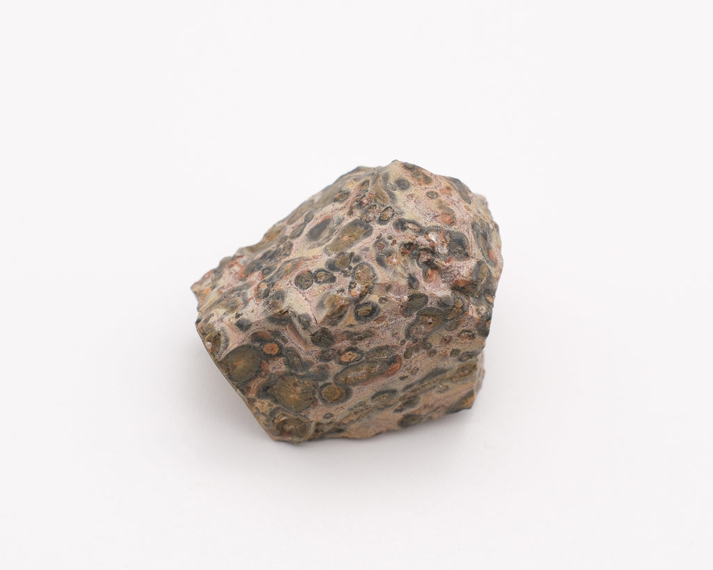 Jaspe pop ou léopard