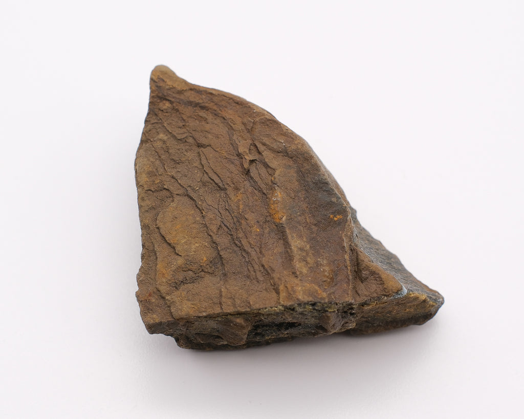 Œil de faucon