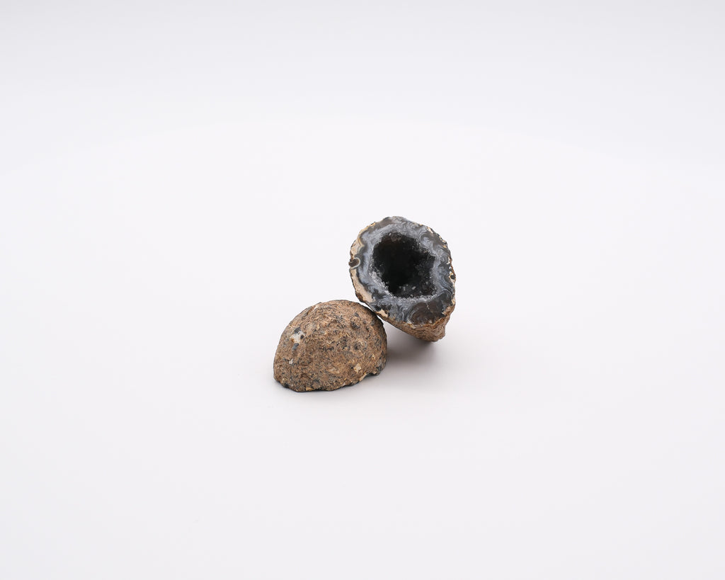 Géodinos d’agate