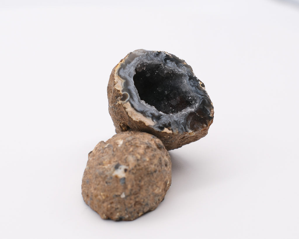 Géodinos d’agate
