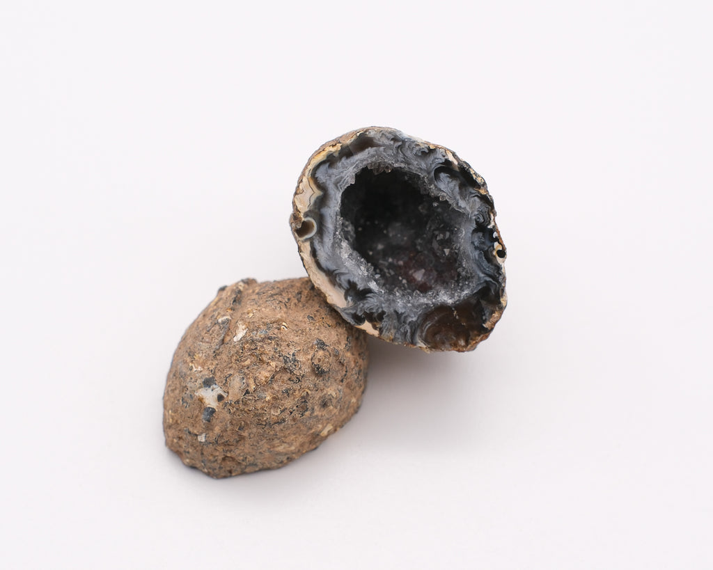 Géodinos d’agate