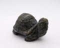 Tortue labradorite
