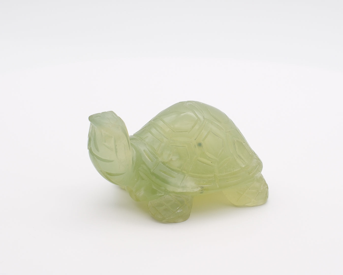 Tortue jade