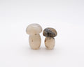 Champignon agate plume