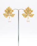 Feuilles de biwa